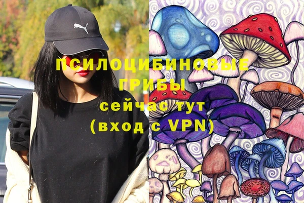 тгк Аркадак