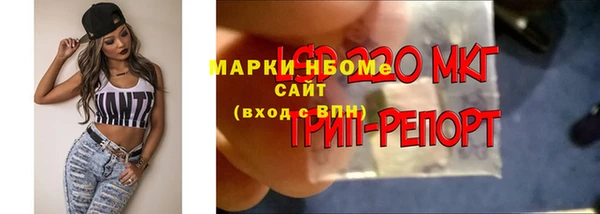 ECSTASY Новодвинск